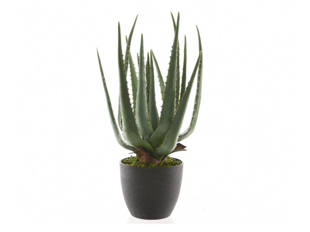 Aloe Vera Artificiel En Pot JAHZA DAA3491133