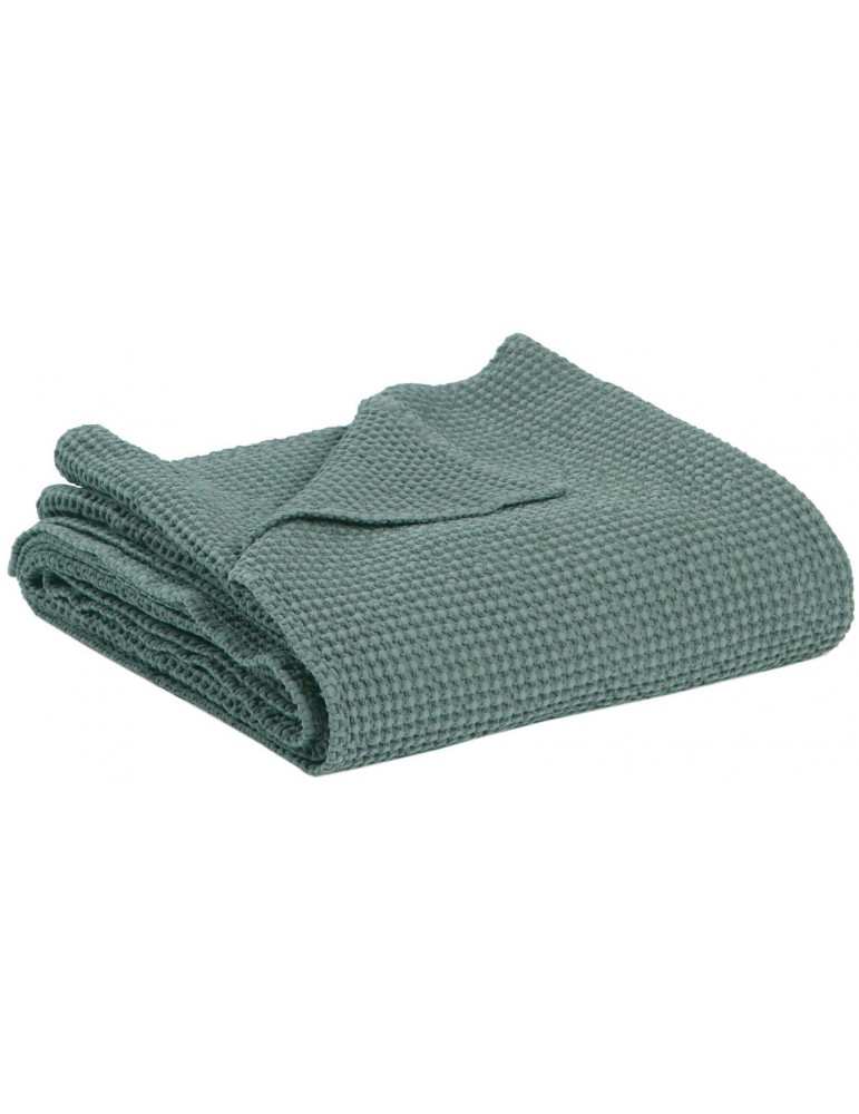 Jete Maia Vert de Gris 260 x 260 1307055000Vivaraise