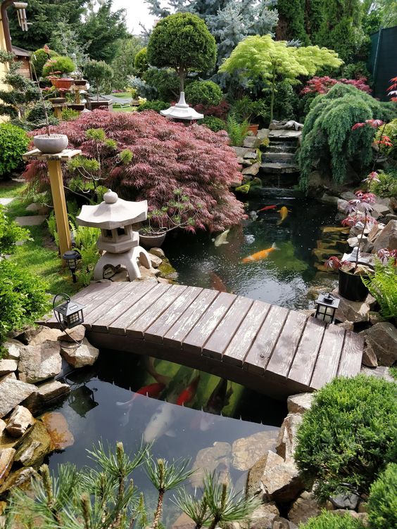 Jardin japonais : comment créer facilement un jardin zen