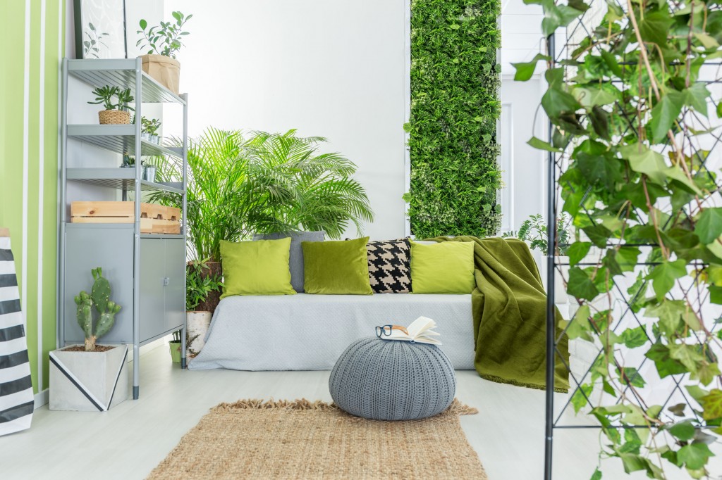 Plantes suspendues pour une décoration tendance.Le Mag - Visiondeco